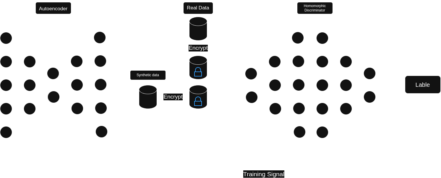 Target PrivSynth architecture: autoencoder, homomorphic encryption, and homomorphic discriminator pipeline